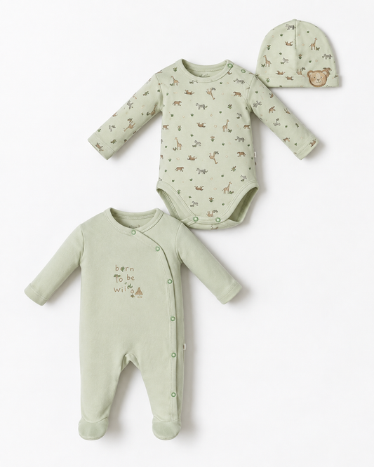 Ensemble Safari 🦒