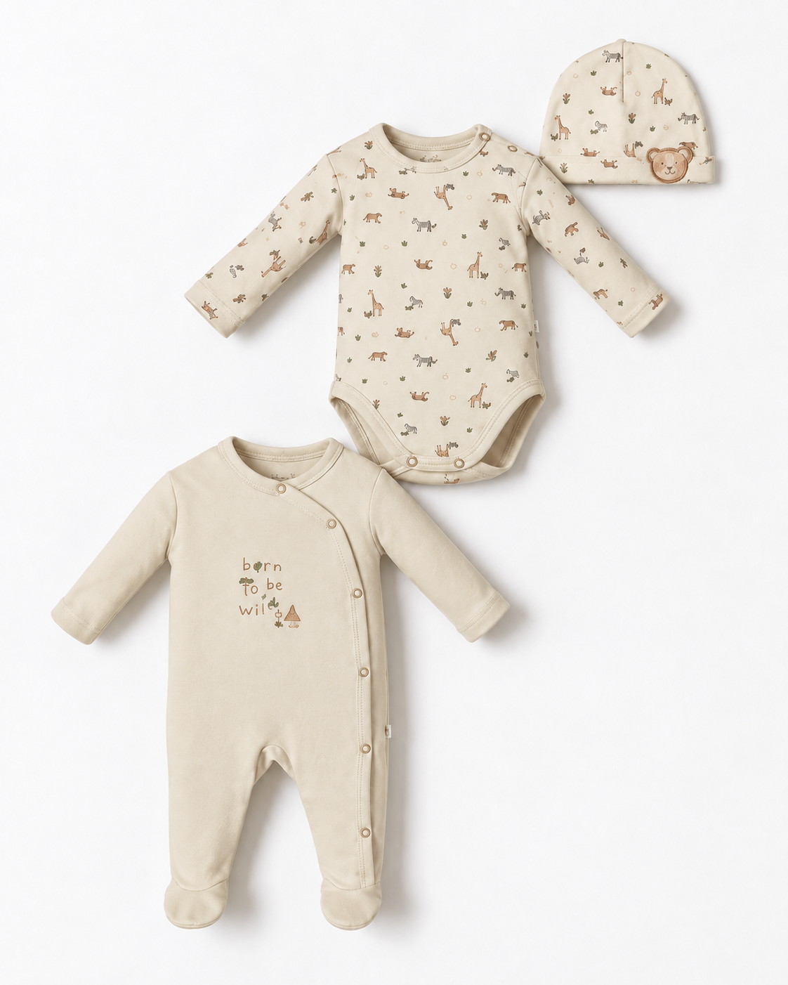 Ensemble Safari 🦒